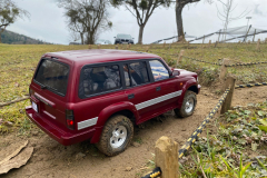 IMG-20260214-WA0255-Gross