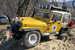 20260228_125238-Gross