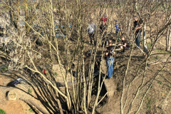 IMG-20260308-WA0058-Gross-Mittel