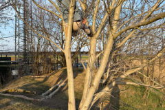 IMG-20260308-WA0123-Gross