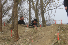 IMG_5375-Gross-Mittel