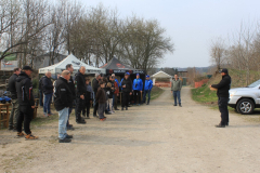 IMG_5380-Gross-Mittel