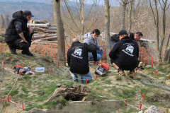 IMG_5486-Gross-Mittel