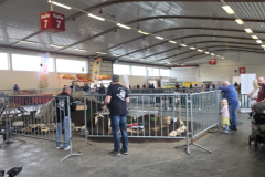 20260327_113827-Gross