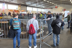 20260328_095903-Gross