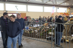 20260328_103600-Gross