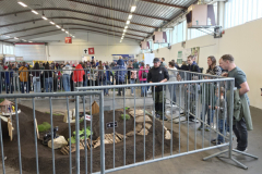 20260328_103603-Gross