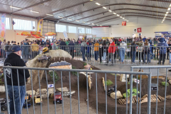 20260328_103606-Gross-Mittel