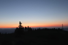 20260524_042921-Gross