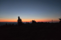 20260524_042959-Gross