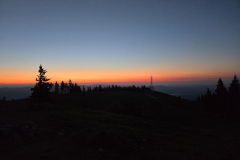 20260524_043346-Gross