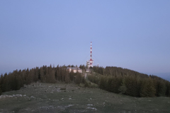 20260524_044652-Gross