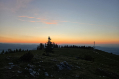 20260524_045939-Gross