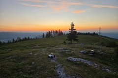 20260524_050521-Gross