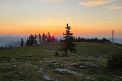 20260524_051250-Gross