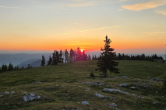 20260524_051340-Gross