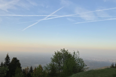 20260524_054241-Gross
