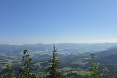 20260524_075257-Gross