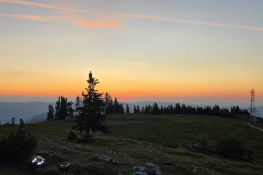 IMG-20260524-WA0031