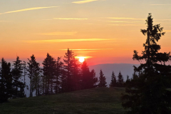 IMG-20260524-WA0041