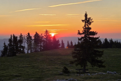 IMG-20260524-WA0047