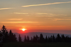 IMG-20260524-WA0049