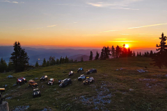 IMG-20260524-WA0065