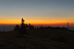IMG-20260524-WA0088