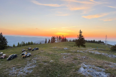 IMG-20260524-WA0111