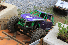 IMG_6236-Gross
