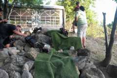 IMG-20250614-WA0041-Gross