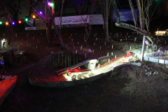 IMG-20241207-WA0051