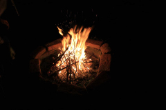 IMG-20241207-WA0061