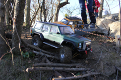 IMG-20241207-WA0146