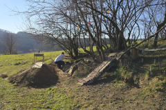 20241130_113555-Mittel